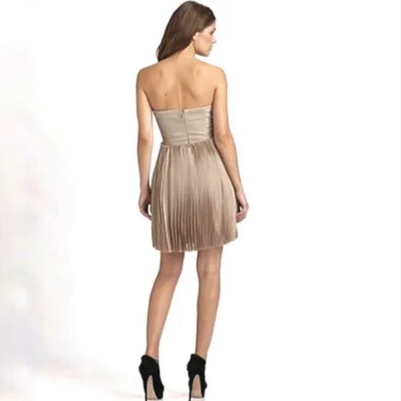BCBGMaxAzria Angel Strapless Bustier Dress in Pumice - Picture 3 of 8